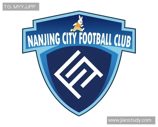 南京足球队在最新足球状态排行榜中荣获第三名展现强劲实力